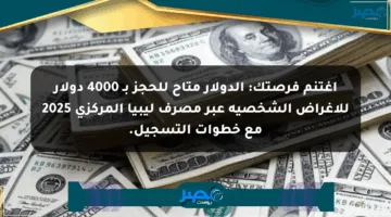 اغتنم فرصتك: الدولار متاح للحجز بـ 4000 دولار للأغراض الشخصية عبر مصرف ليبيا المركزي 2025 مع خطوات التسجيل.